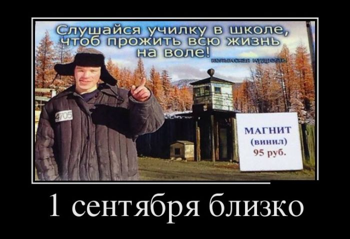 Демотиваторы