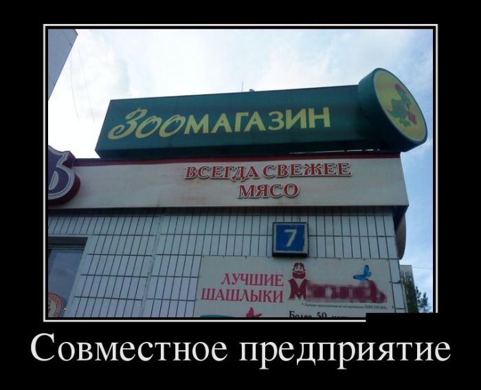 Демотиваторы