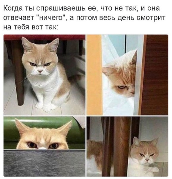 Смешные Картинки из соц.сетей