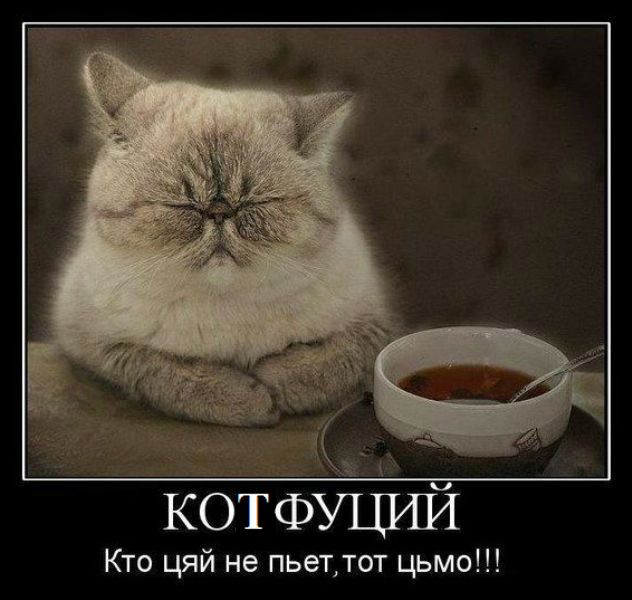 Демотиваторы