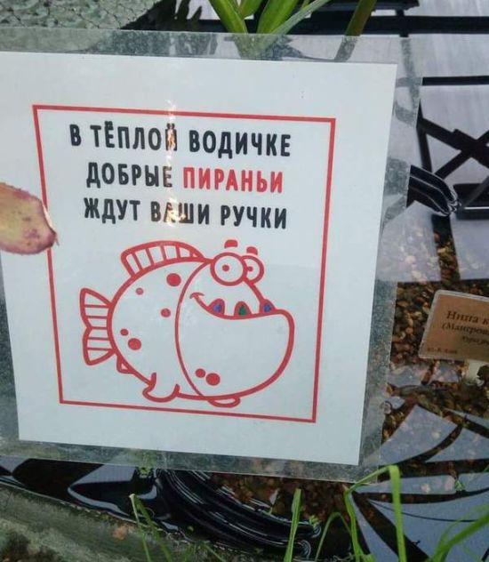 Прикольные картинки