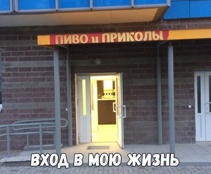 Прикольные картинки