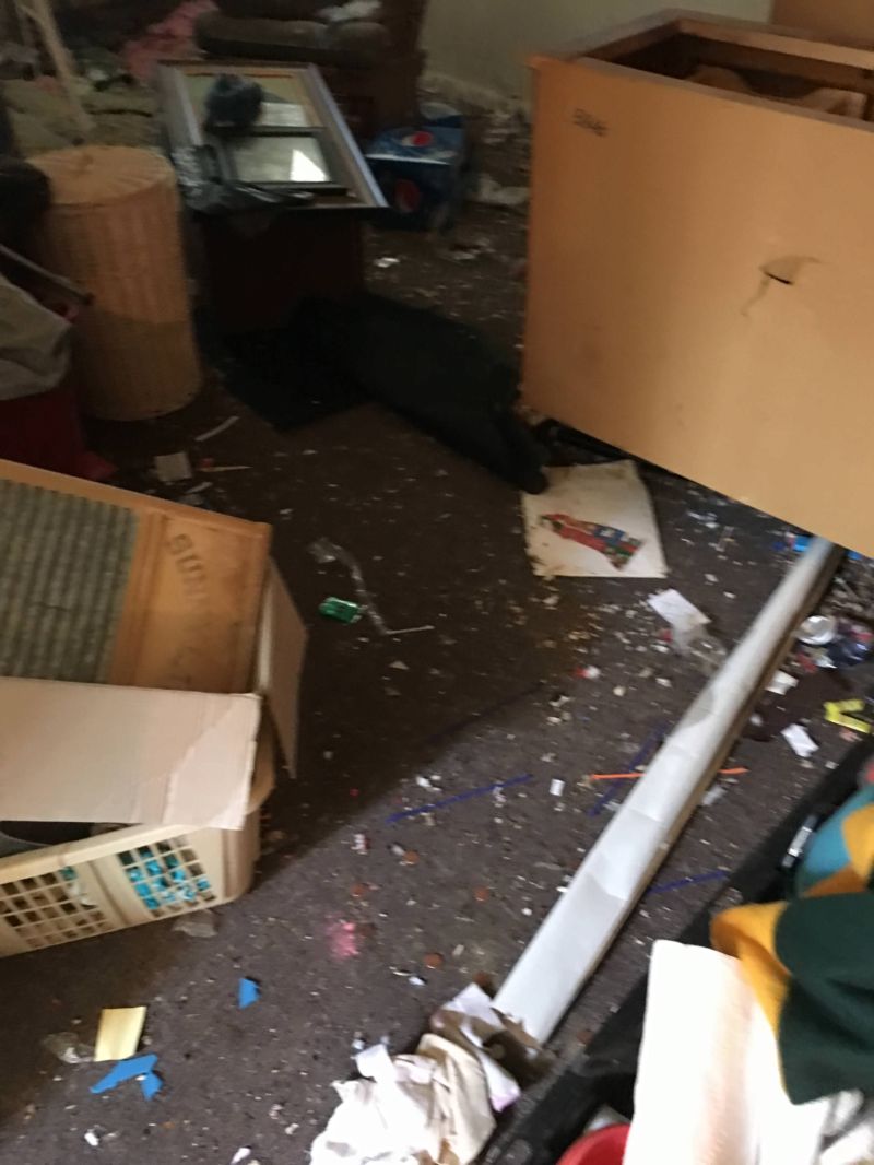 Хозяин заглянул в дом во время съезда арендаторов