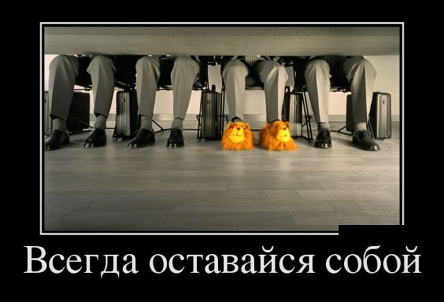 Демотиваторы