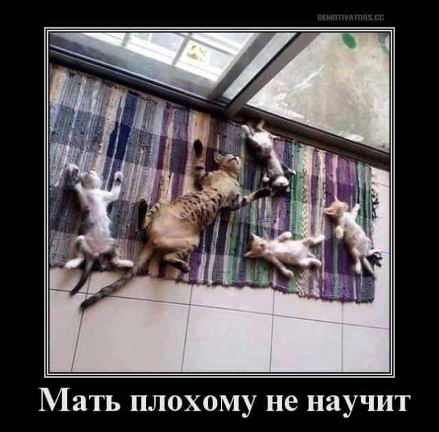 Демотиваторы