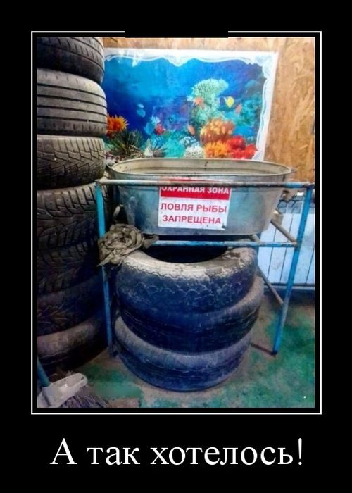 Демотиваторы