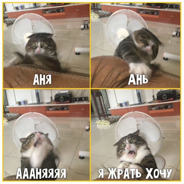 Смешные комиксы
