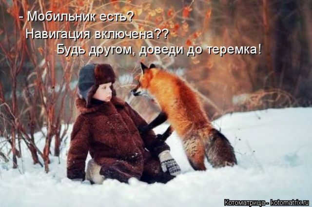Лучшие котоматрицы недели