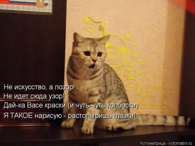 Лучшие котоматрицы недели