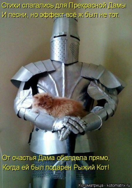 Лучшие котоматрицы недели