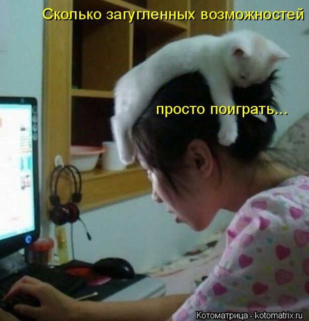 Лучшие котоматрицы недели