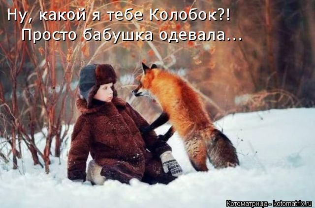 Лучшие котоматрицы недели