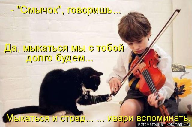 Лучшие котоматрицы недели