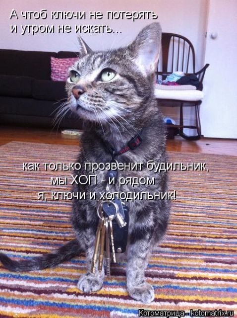Лучшие котоматрицы недели
