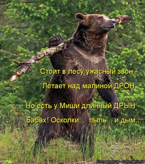 Лучшие котоматрицы недели