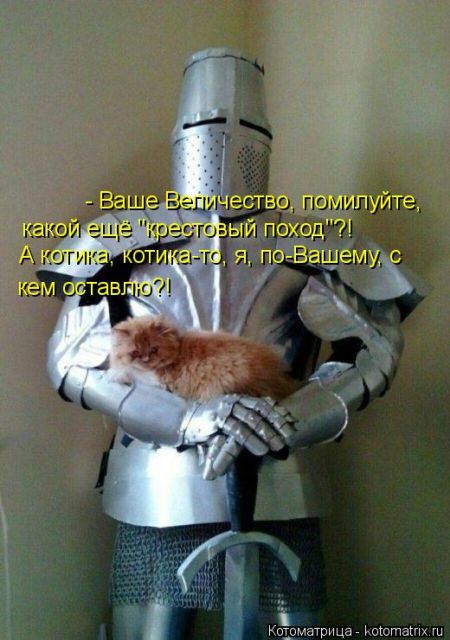 Лучшие котоматрицы недели