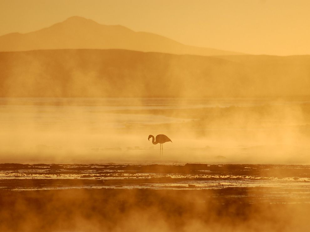 Лучшие фотографии августа 2012 от National Geographic (часть 2) Лучшие фотографии августа 2012 от National Geographic (часть 2)