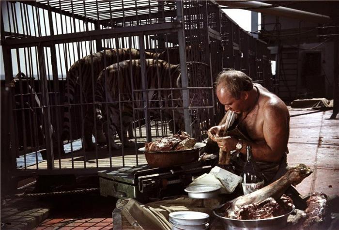 Интересные факты про фильм Полосатый рейс (7 фото) Интересные факты про фильм Полосатый рейс (7 фото)
