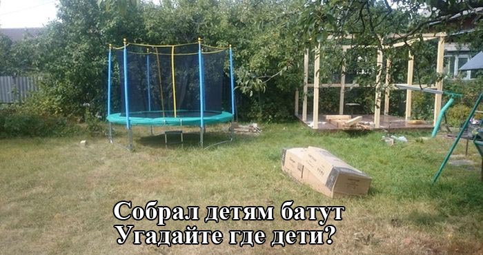 Порция картинок