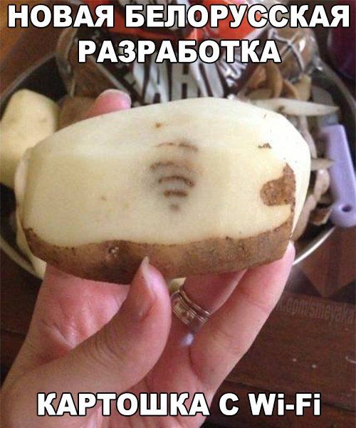 Порция картинок