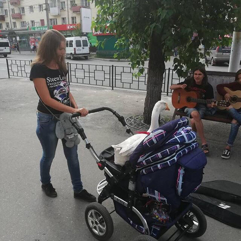 Удивительные снимки с российских просторов