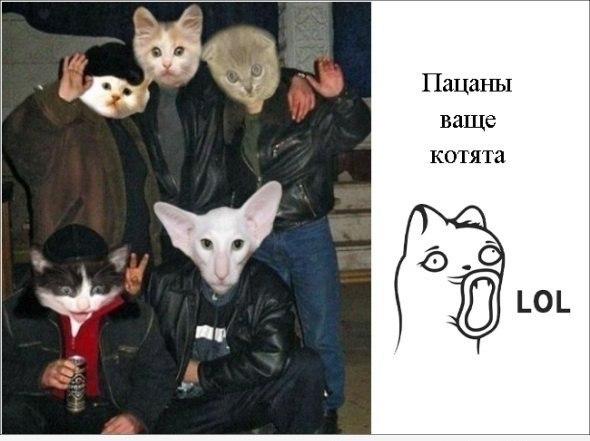 Прикольные комиксы (31 фото)
