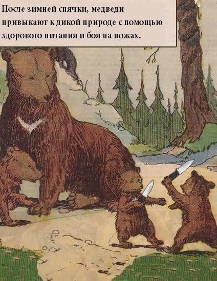 Прикольные картинки (70 фото)