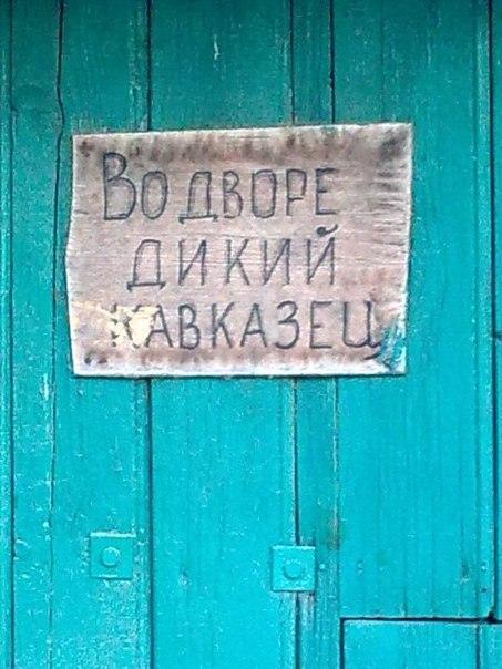 Прикольные картинки (70 фото)