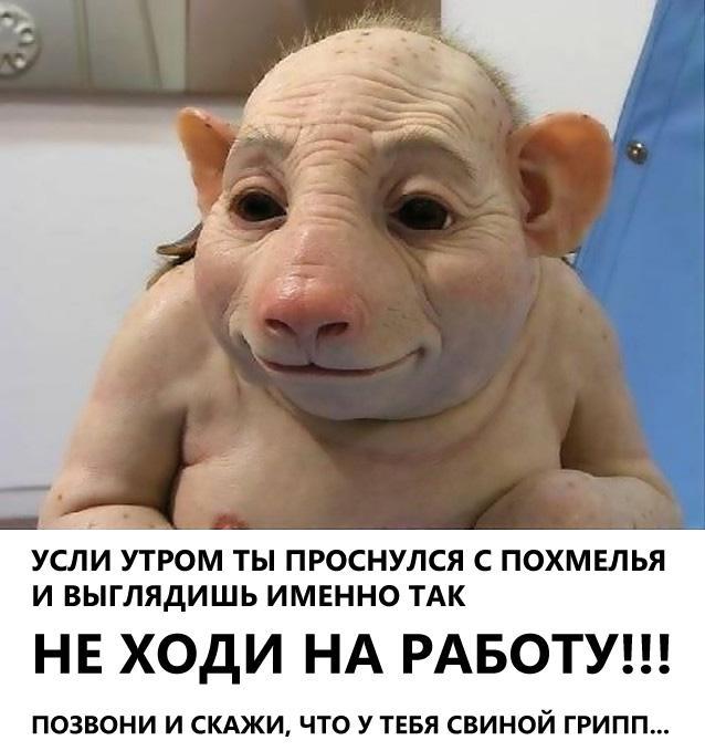 Прикольные картинки (70 фото)