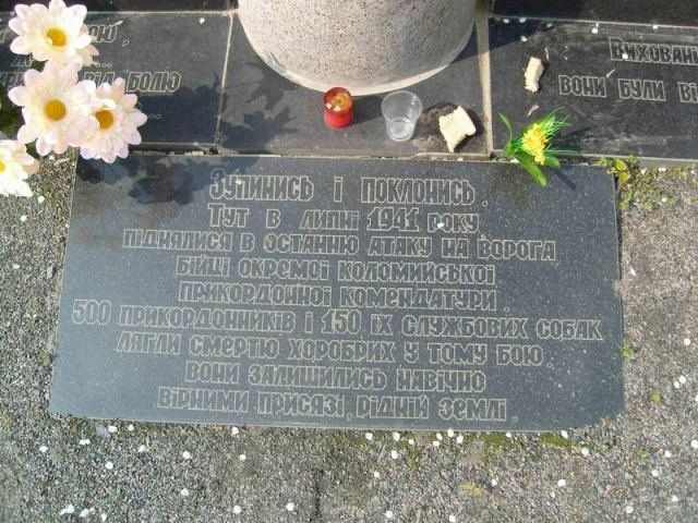 Собачья война