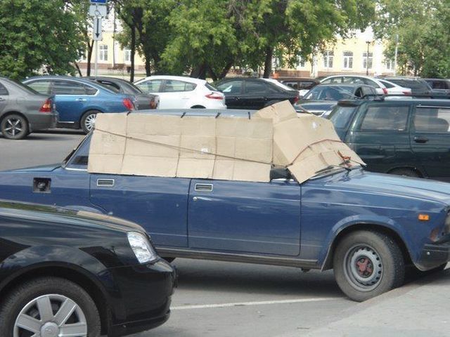 Прикольные картинки