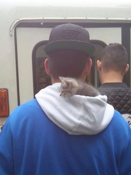 Прикольные картинки