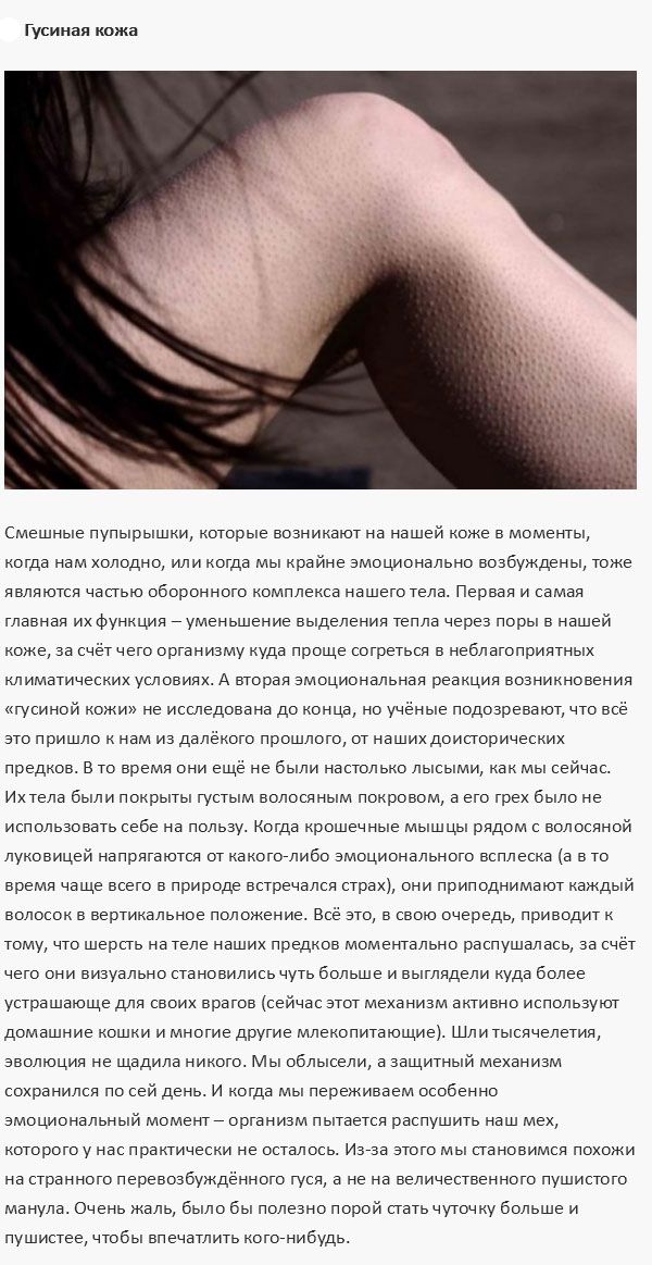 Процессы, которые происходят в организме человека (9 фото)