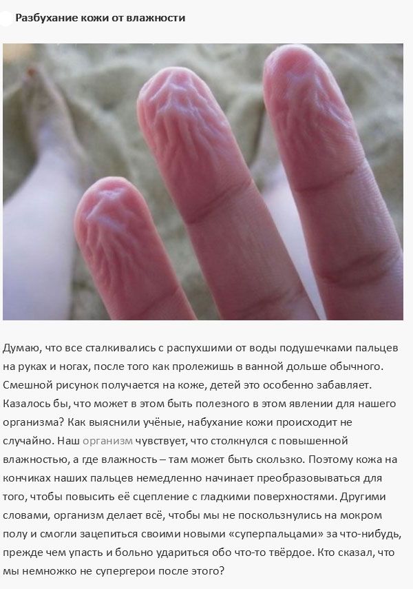 Процессы, которые происходят в организме человека (9 фото)