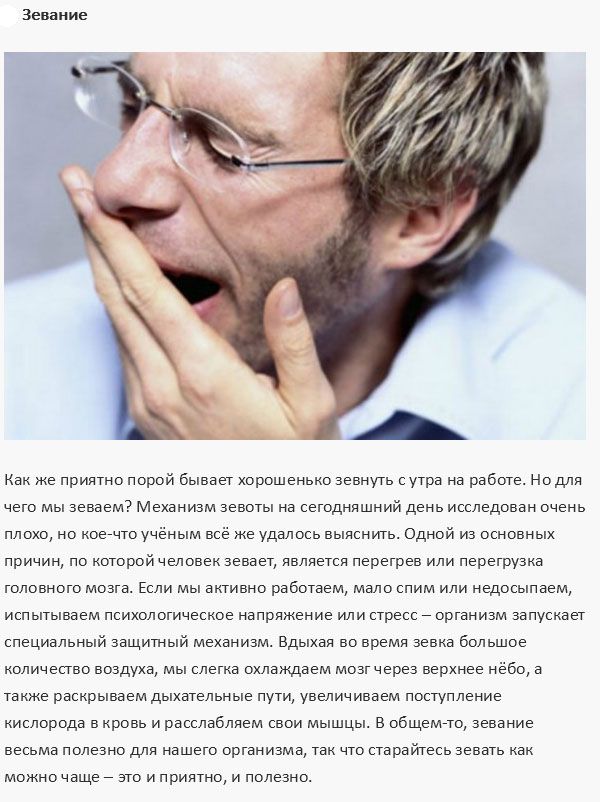 Процессы, которые происходят в организме человека (9 фото)