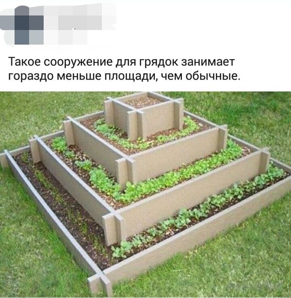 Забавные комментарии из социальных сетей