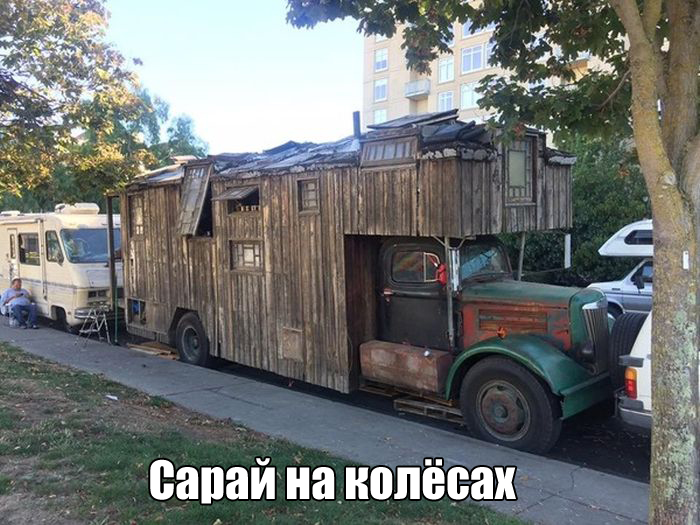 Прикольные картинки