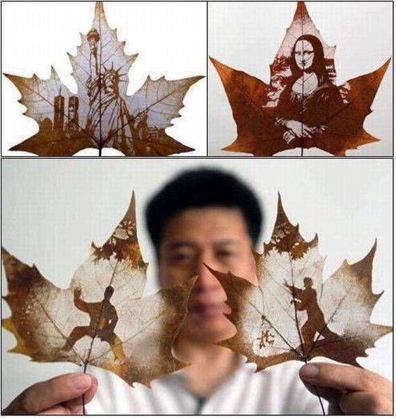 Прикольные картинки