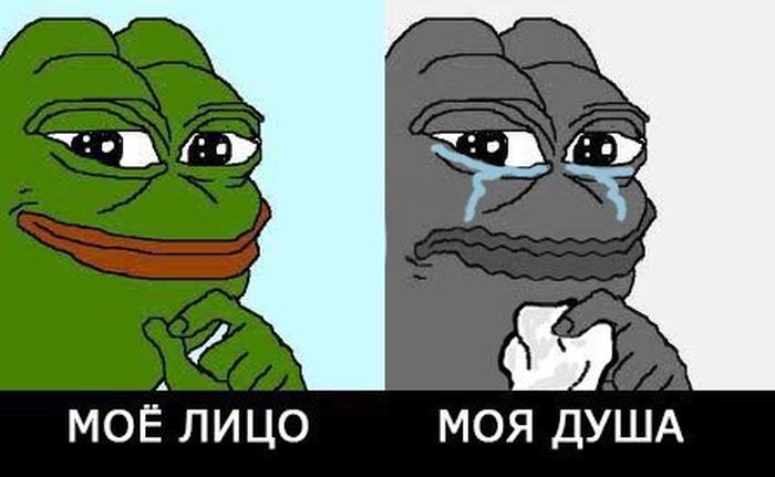 Прикольные картинки