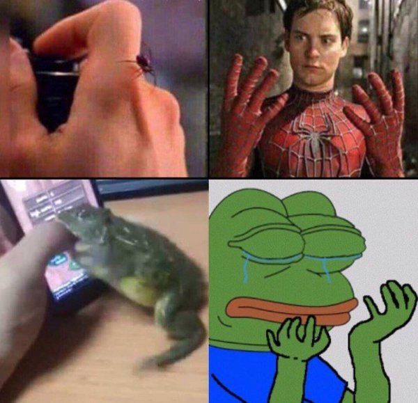 Прикольные картинки