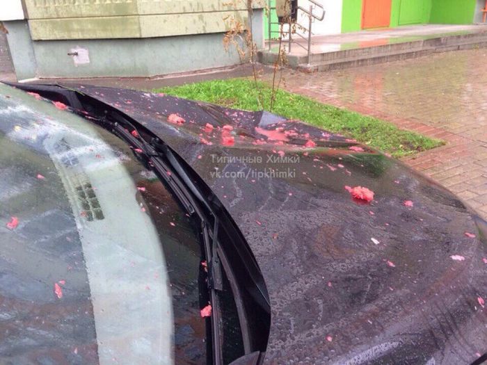 Арбузное наказание за парковку на тротуаре