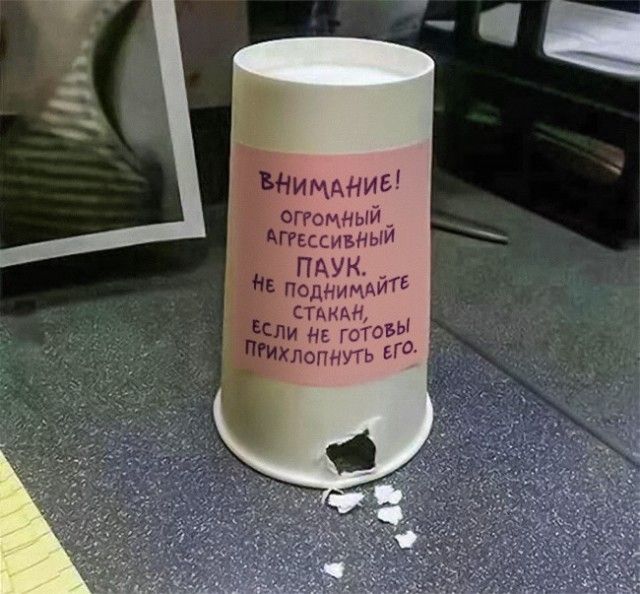 Прикольные картинки