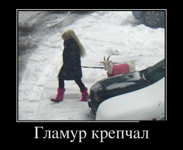 Демотиваторы