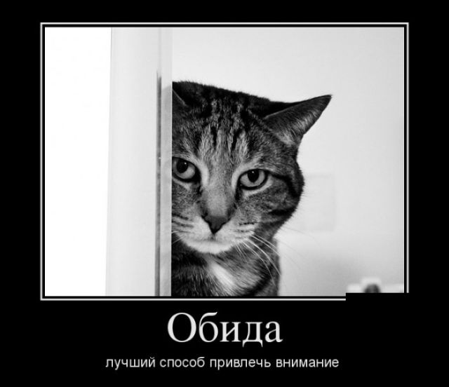 Демотиваторы