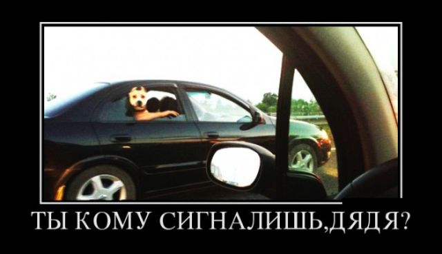 Демотиваторы