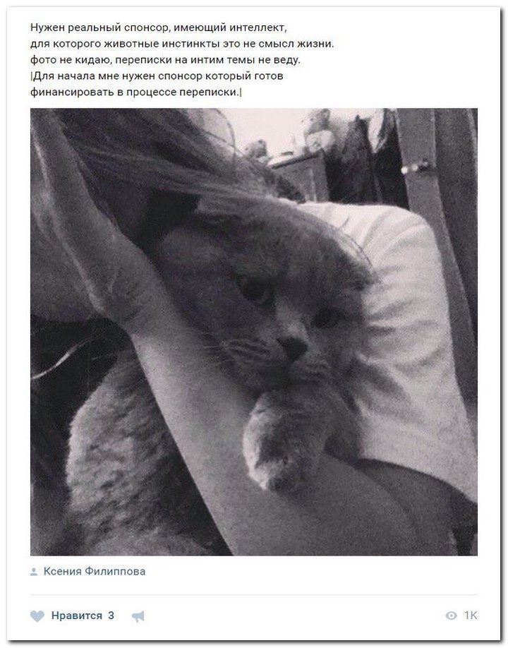 Наивные - или продажные - девушки ищут содержание