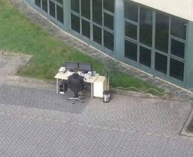 Прикольные картинки