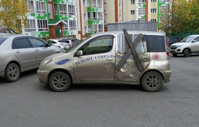 Прикольные картинки