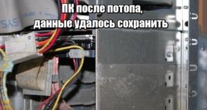Прикольные картинки