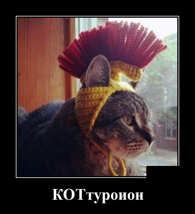 Демотиваторы